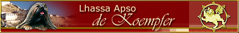 Lhassa Apso De Koempfer