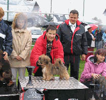 Angel of Vasco De Koempfer