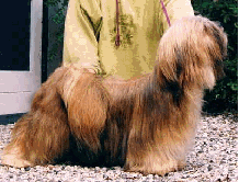 Ch.Kai-La-Sha Tenzing